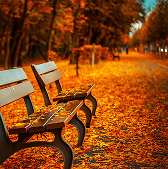 ddos攻击器安卓ios下载