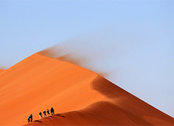 攻击网站在线工具