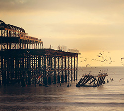 无害健康环保的免费ddos网页端