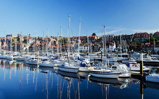 安全无风险的ddos网页端源码