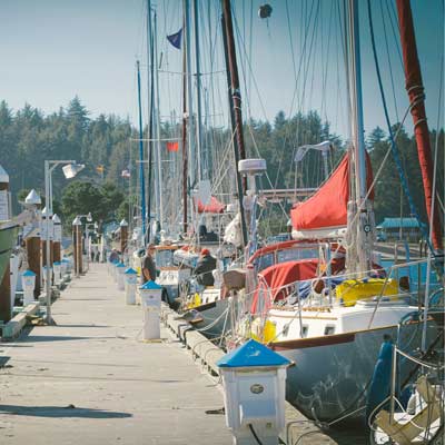 容量规划的ddos网页端源码