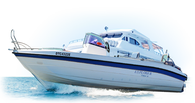 智能日志分析的ddos网页端源码